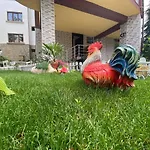Kostovi 招待所 *