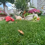 بيت ضيافة Kostovi *